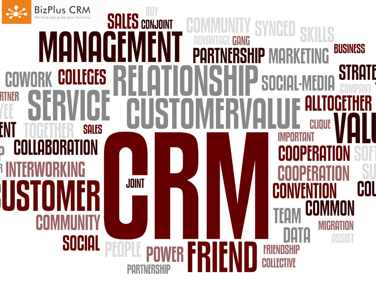 Modern CRM software dashboard with analytics and sales tracking
